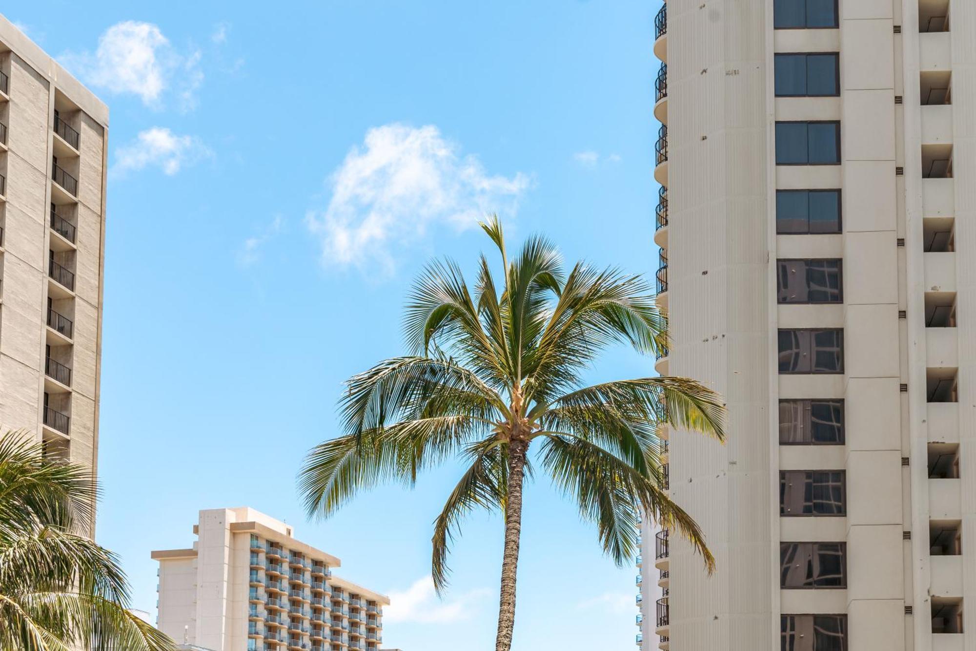 Aloha Vibes With Ocean Views, Near Beach & Parking! Honolulu Extérieur photo