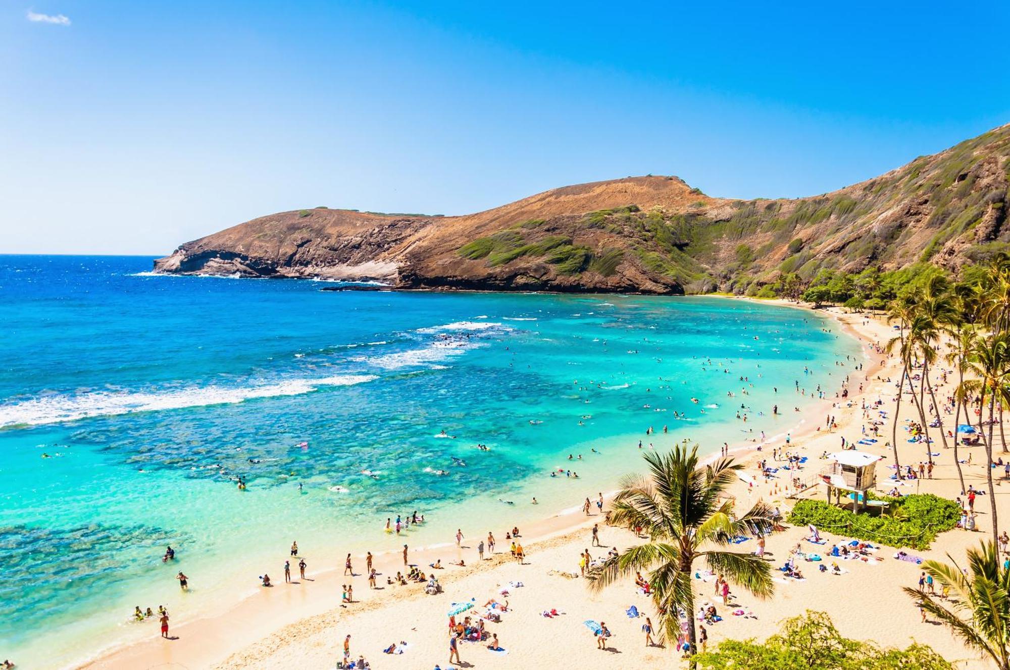 Aloha Vibes With Ocean Views, Near Beach & Parking! Honolulu Extérieur photo